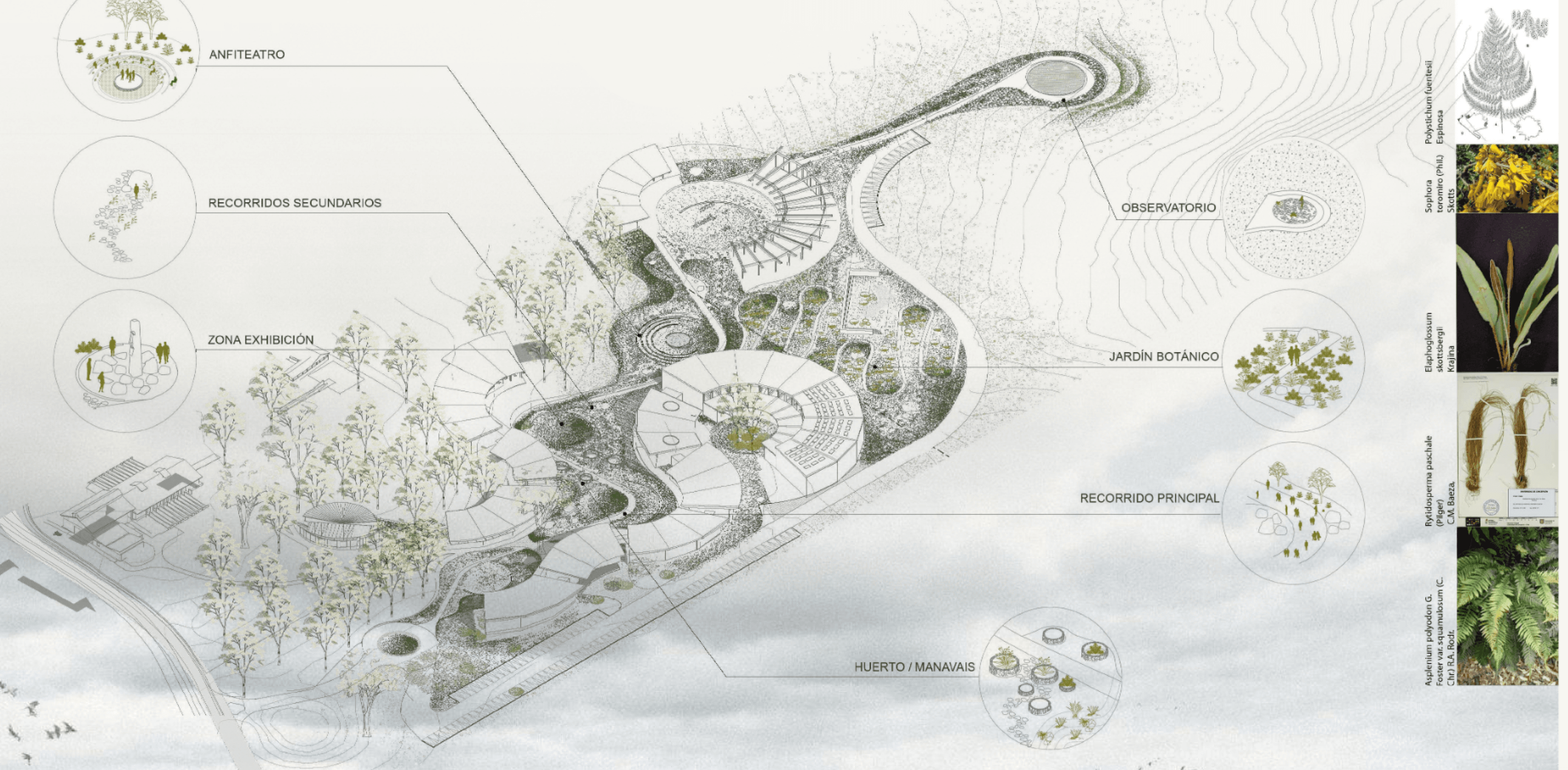 Nuevo Museo de Rapa Nui - Registro 4